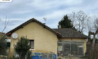 Photo N° 4