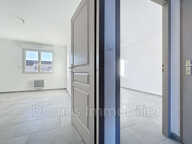 professionnel — photo 4