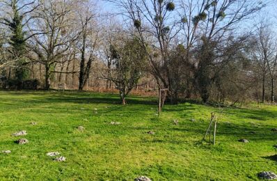 terrain  pièces 1300 m2 à vendre à Budos (33720)