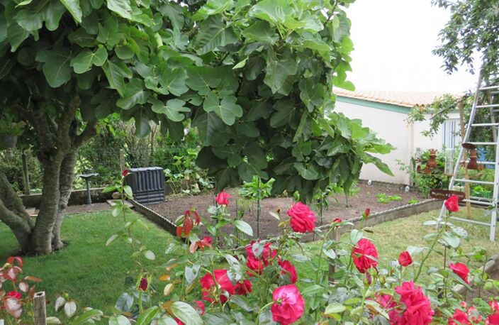 VENTE d'un pavillon T3 (83 m²) à ETAULES — photo 3