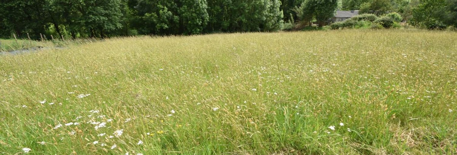 Terrain  1434 m² à vendre à Cazalis (40700)