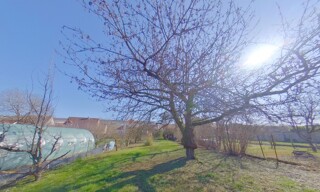 Photo N° 6