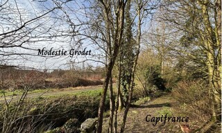 Photo N° 4