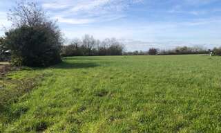 Terrain  10045 m² à vendre à Saint-Philbert-de-Grand-Lieu (44310)