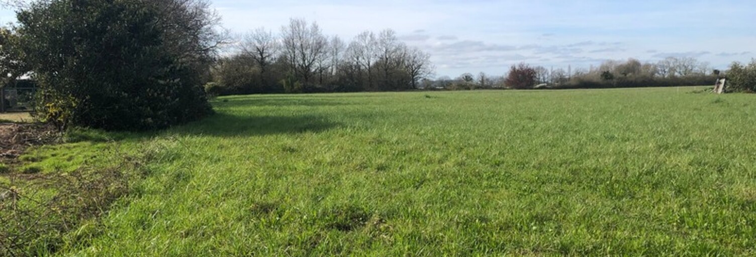 Terrain  10045 m² à vendre à Saint-Philbert-de-Grand-Lieu (44310)