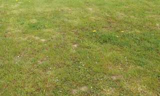 Terrain  600 m² à vendre à Crèvecœur-le-Grand (60360)