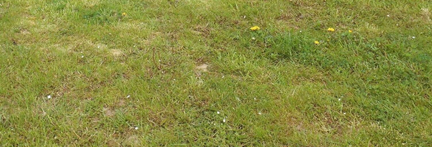 Terrain  600 m² à vendre à Crèvecœur-le-Grand (60360)