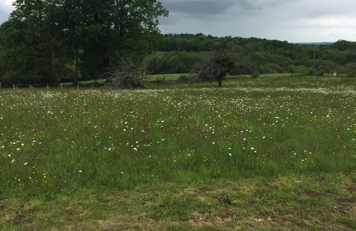 Terrain constructible de 1566 m2 — photo 3