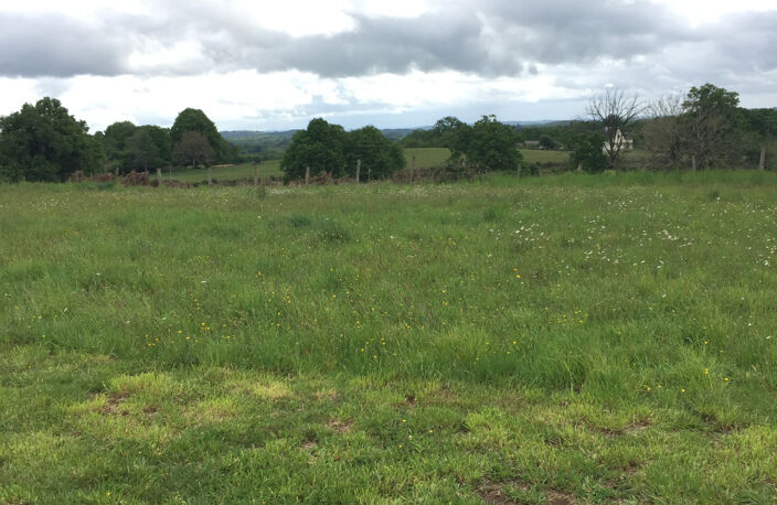 Terrain constructible de 1566 m2 — photo 4