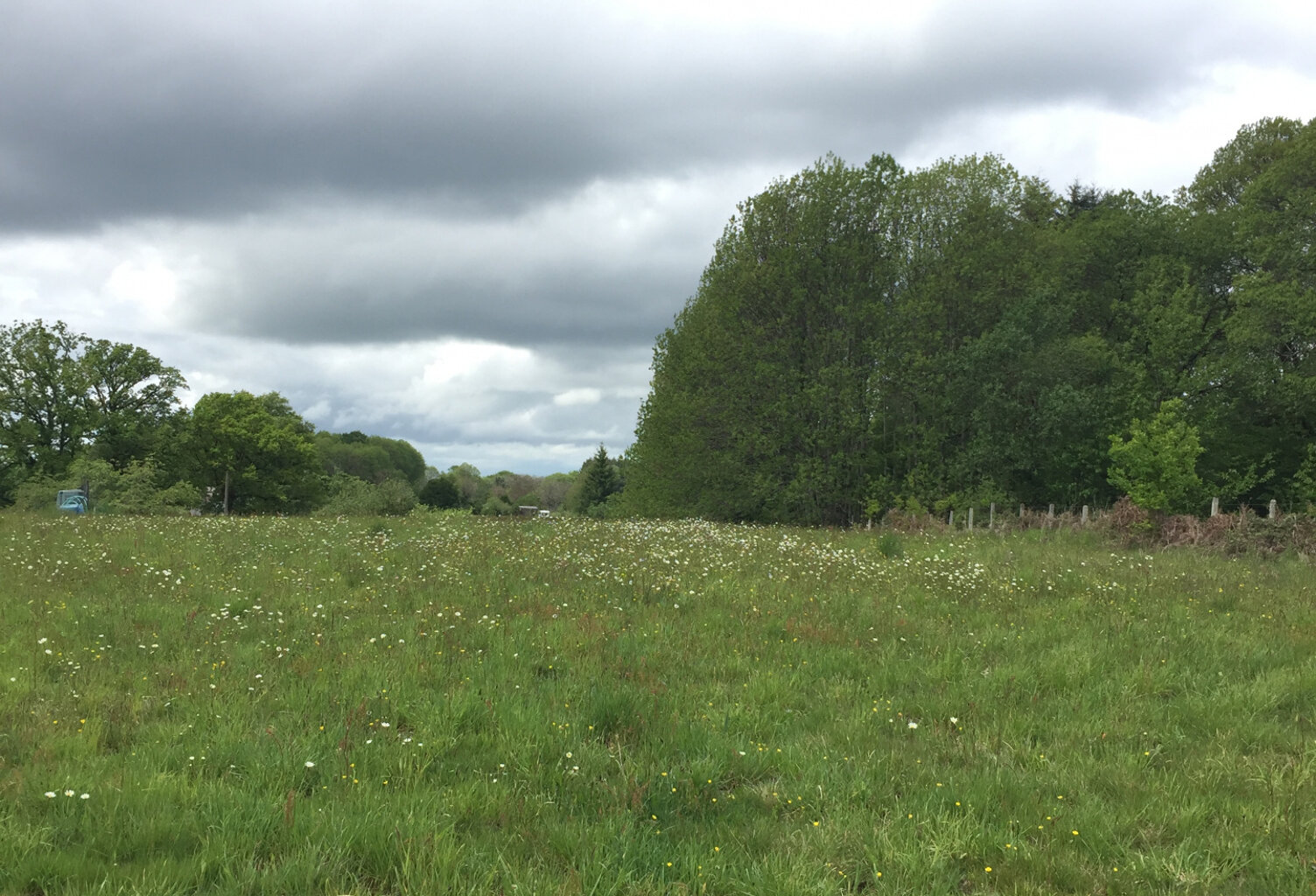 Terrain constructible de 1412 m2 — photo 1