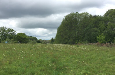 terrain  pièces 1412 m2 à vendre à Lagraulière (19700)