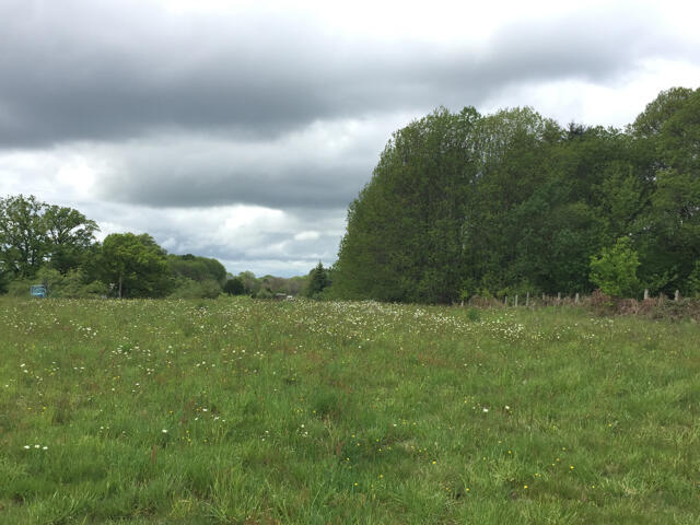 Terrain proposé à Lagraulière