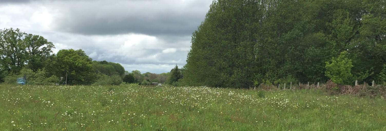 Terrain  1412 m² à vendre à Lagraulière (19700)