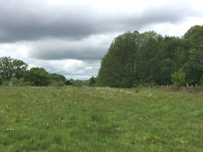 Terrain constructible de 1412 m2 — photo 1