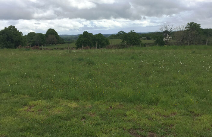 Terrain constructible de 1412 m2 — photo 3