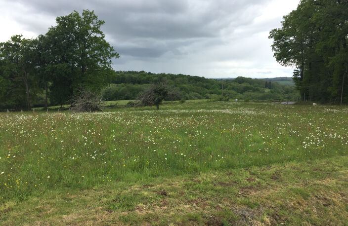 Terrain constructible de 1412 m2 — photo 5