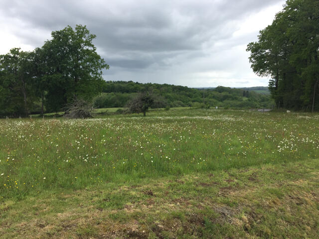 Terrain proposé à Lagraulière