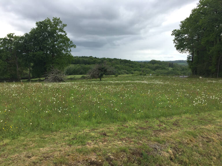 1429 m2 pour ce terrain à bâtir — photo 1