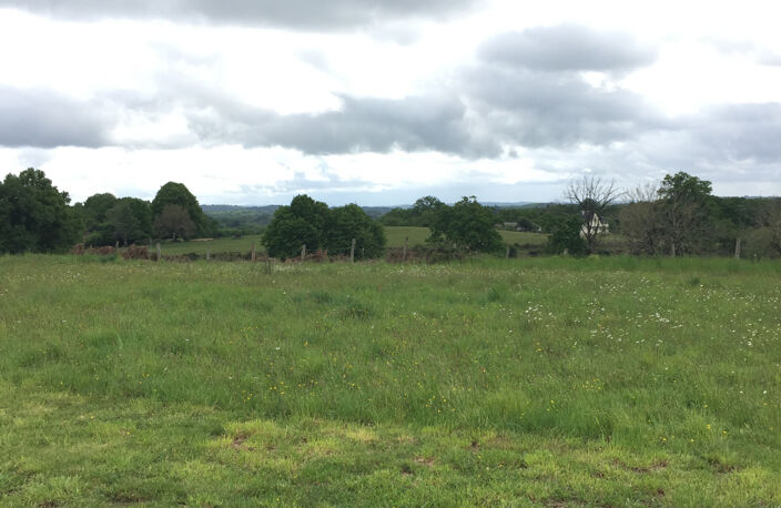 1429 m2 pour ce terrain à bâtir — photo 2