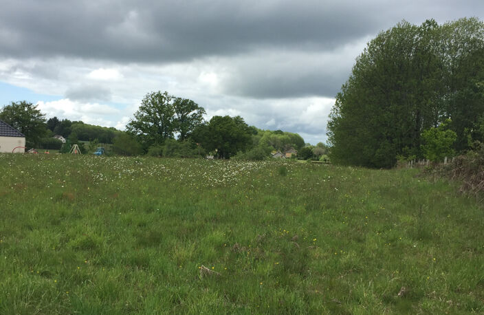 1429 m2 pour ce terrain à bâtir — photo 3