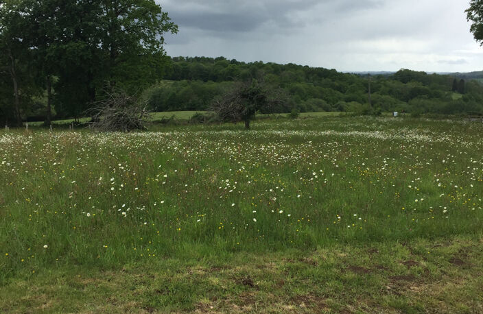 1429 m2 pour ce terrain à bâtir — photo 5