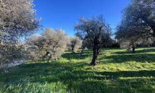 Terrain 2518 m² à construire Opio (06650)