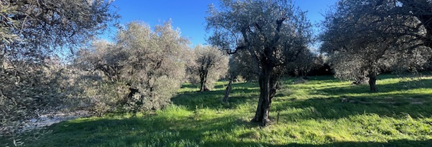 Terrain 2518 m² à construire Opio (06650)