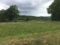 Grand terrain de 1509 m2 — photo 2