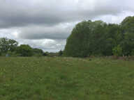 Grand terrain de 1509 m2 — photo 3