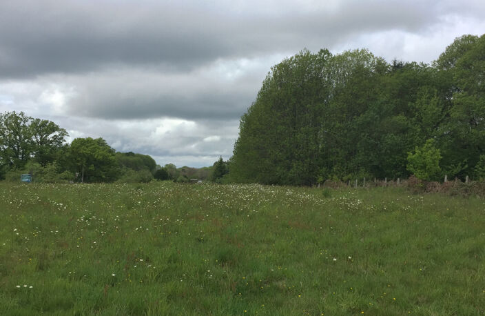 Grand terrain de 1509 m2 — photo 3