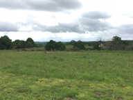 Grand terrain de 1509 m2 — photo 4