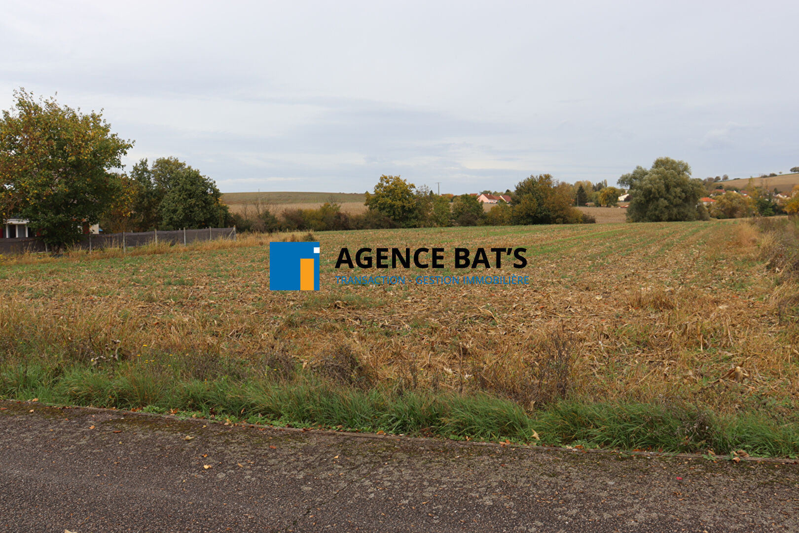 A vendre terrain constructible 912m2 saint germain des fossés.