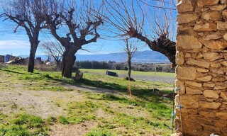 Photo N° 6