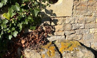Photo N° 4