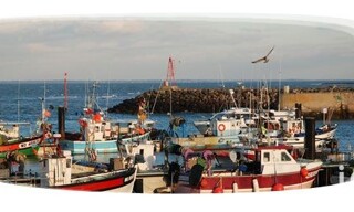 Commerce  300 m² à vendre à Noirmoutier-en-l'Île (85330)