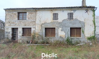 Photo N° 7