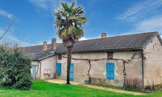 Photo N° 2