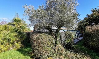 Photo N° 3