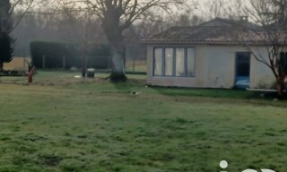 Photo N° 3