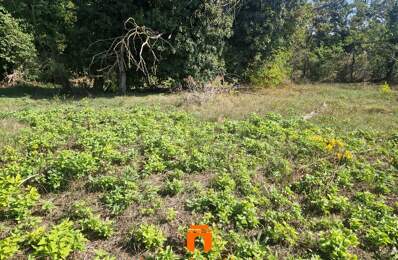 Terrain constructible — photo du bien