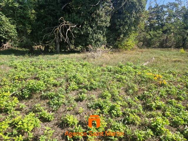 Terrain constructible — photo du bien