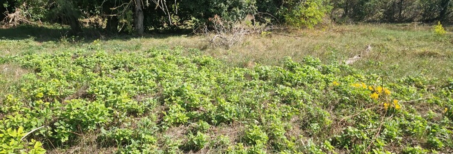 Terrain  794 m² à vendre à Malataverne (26780)