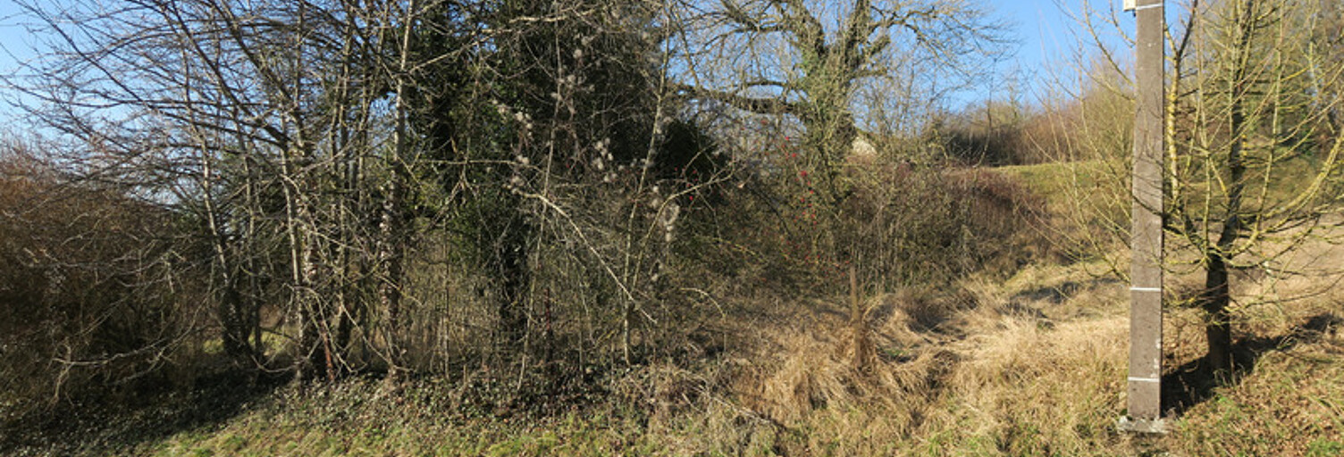 Terrain  3004 m² à vendre à Pierrepont (54620)