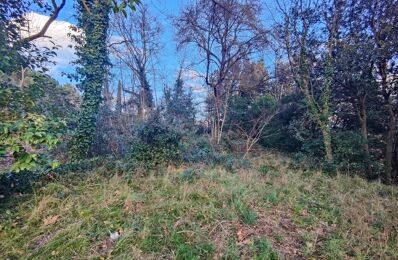 vente terrain 71 500 € à proximité de Taussac-la-Billière (34600)