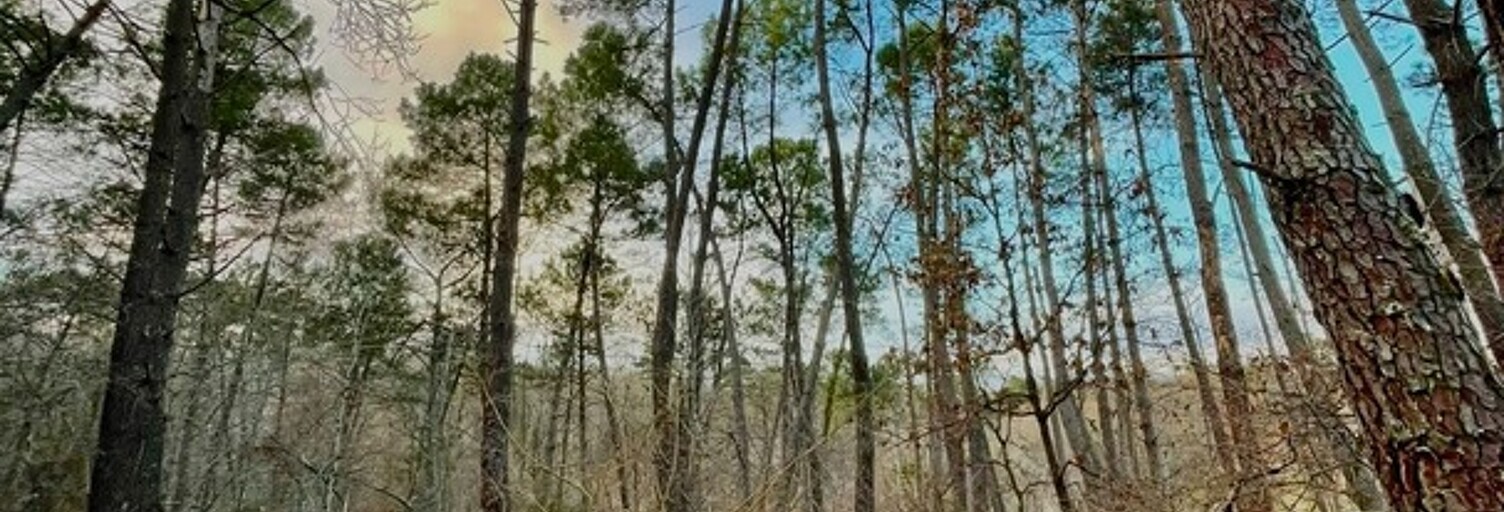 Terrain  8459 m² à vendre à Vaïssac (82800)