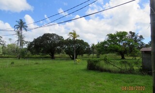 Photo N° 6