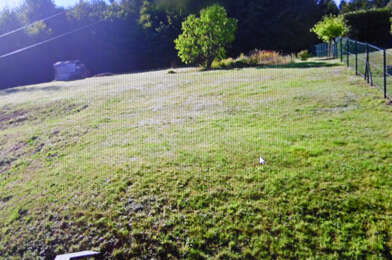 Terrain  25000 €