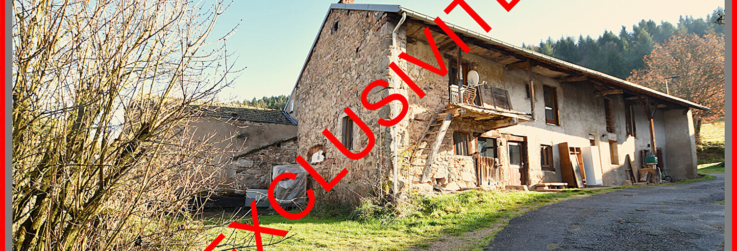 Maison 9 Pièces 268 m² à vendre à Châtel-Montagne (03250)