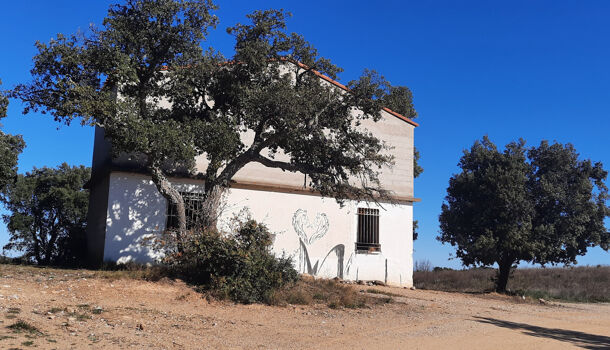 Terrain  à vendre Calmeilles 66400