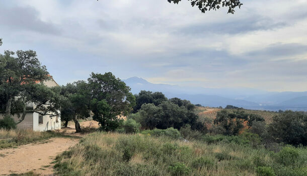 Terrain  à vendre Calmeilles 66400